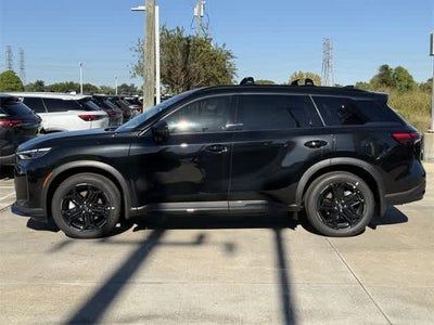 2026 INFINITI QX60 SPORT