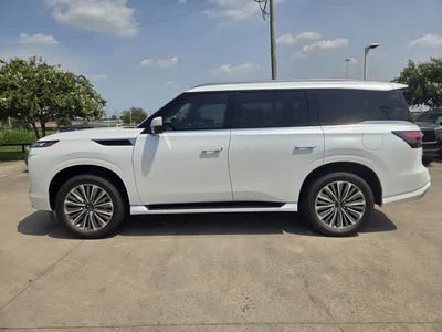 2027 INFINITI QX80 LUXE