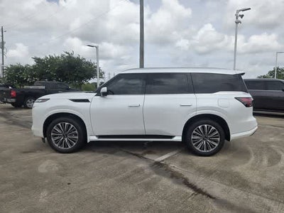 2026 INFINITI QX80 LUXE