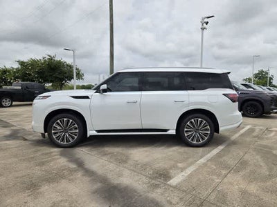 2026 INFINITI QX80 LUXE