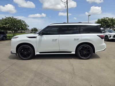 2027 INFINITI QX80 SPORT