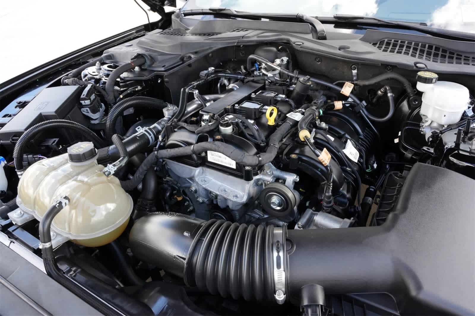 2023 Ford Mustang EcoBoost