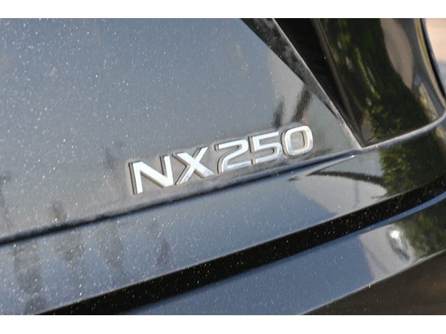2024 Lexus NX 250 Premium