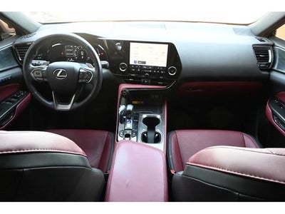 2024 Lexus NX 250 Premium