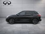 2023 INFINITI QX50 SPORT