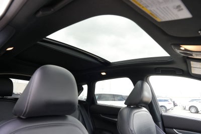 2023 INFINITI QX50 SPORT
