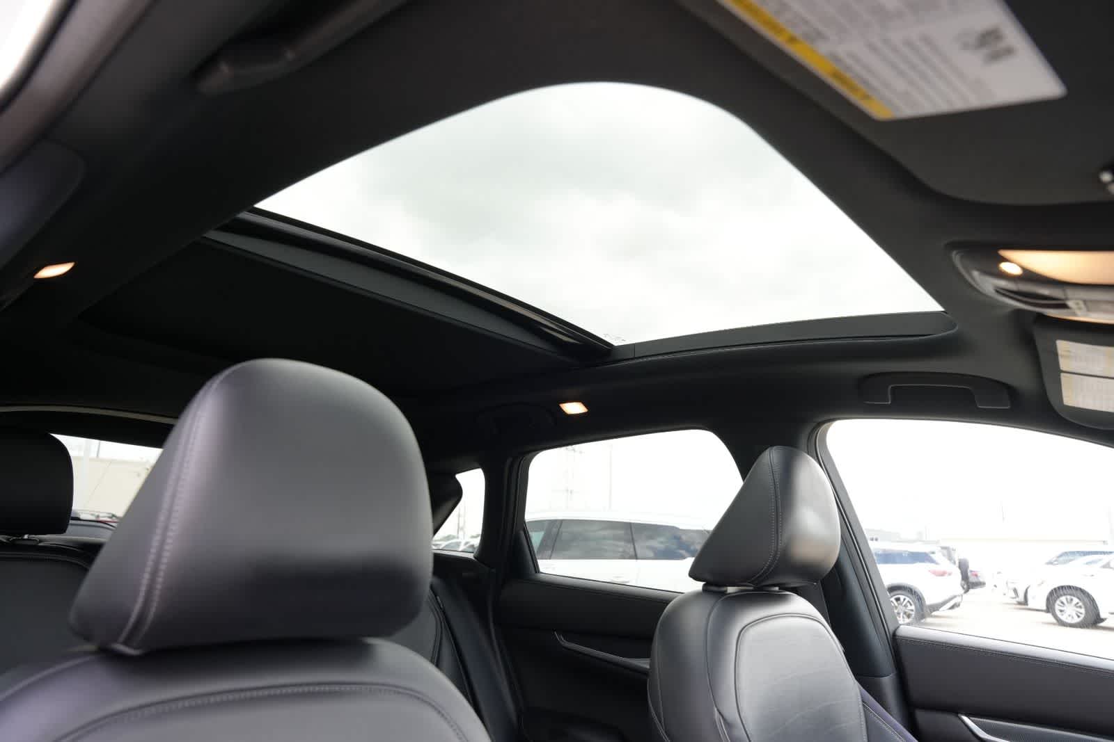 2023 INFINITI QX50 SPORT