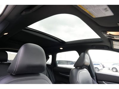 2023 INFINITI QX50 SPORT
