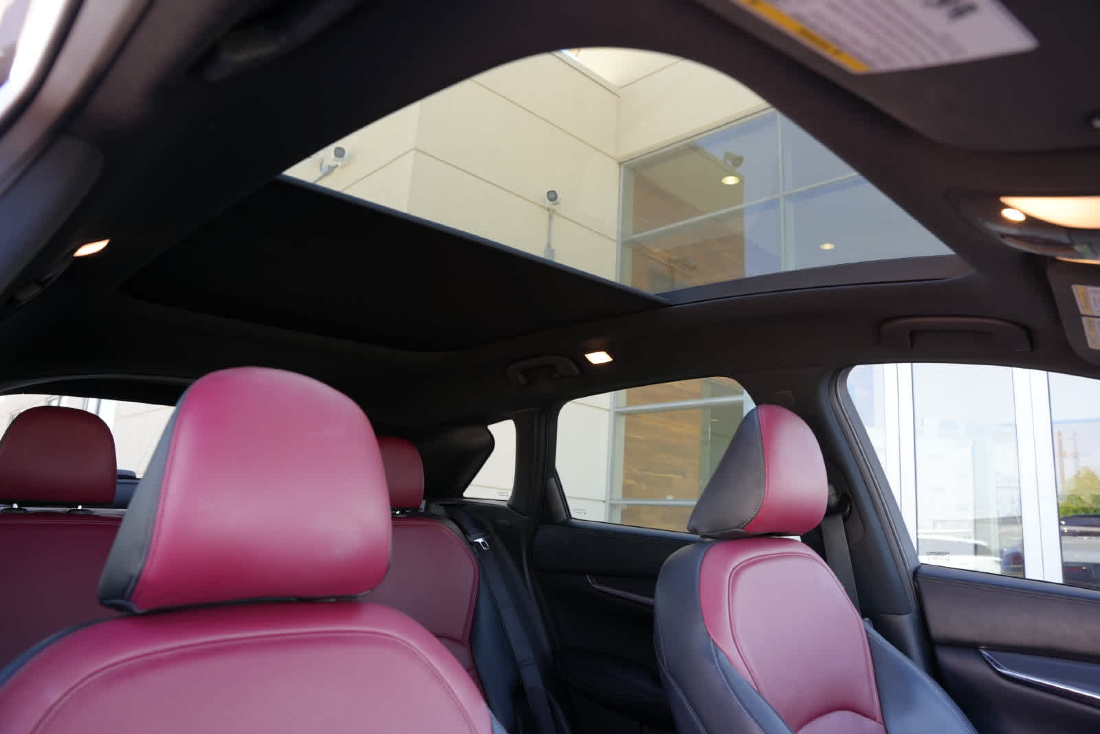 2023 INFINITI QX50 SPORT