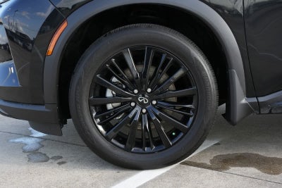 2024 INFINITI QX60 AUTOGRAPH