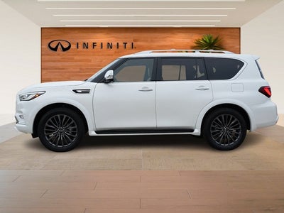2024 INFINITI QX80 SENSORY