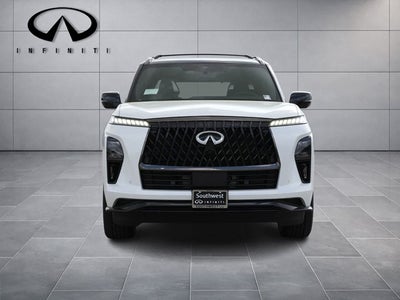 2026 INFINITI QX80 SPORT