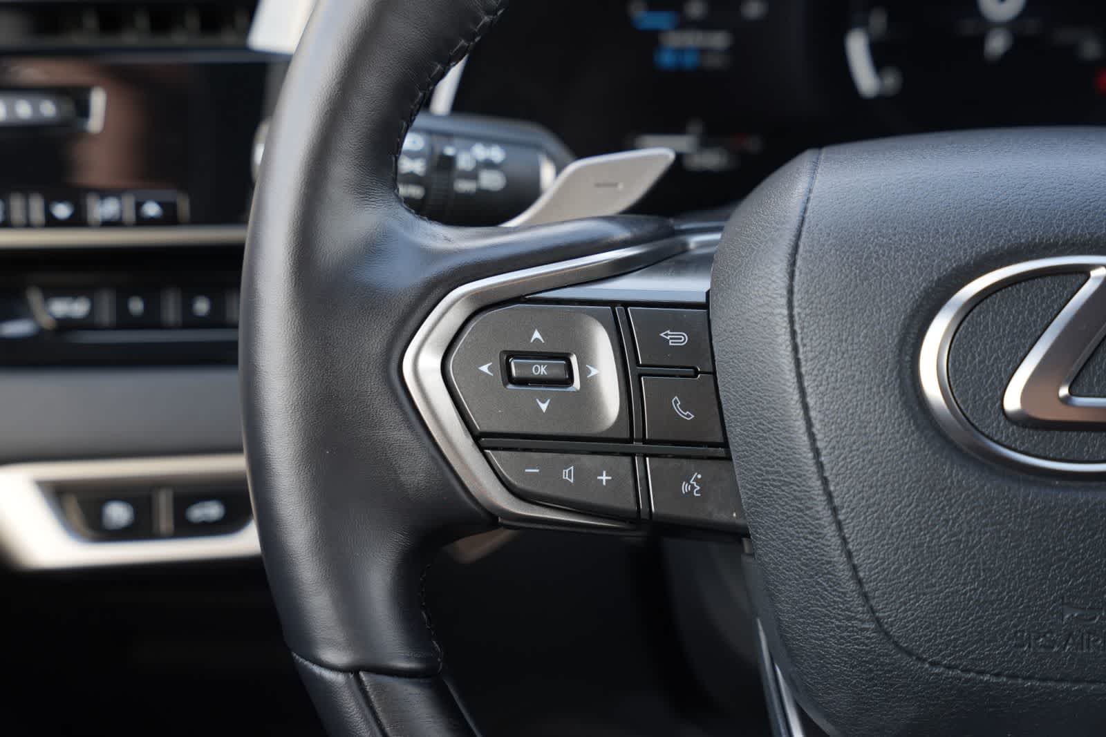 2025 Lexus RX Premium Plus