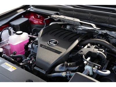 2025 Lexus RX Premium Plus