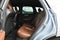 2022 Volvo XC60 Inscription